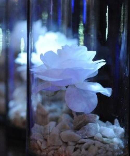 Centros de mesa con flores y luz , arreglos florales